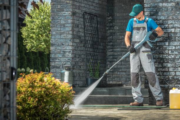 Best Gutter Cleaning  in Roodhouse, IL