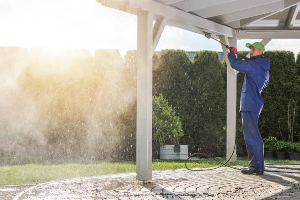 Best Fence Cleaning  in Roodhouse, IL