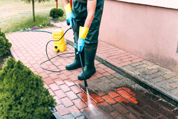 Professional Pressure Washing Services in Roodhouse, IL