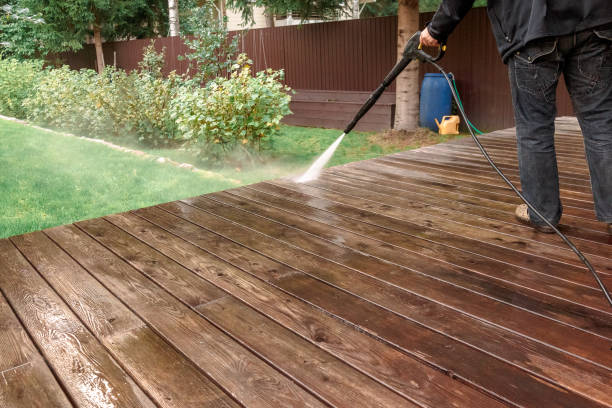 Best Pre-Holiday Cleaning  in Roodhouse, IL